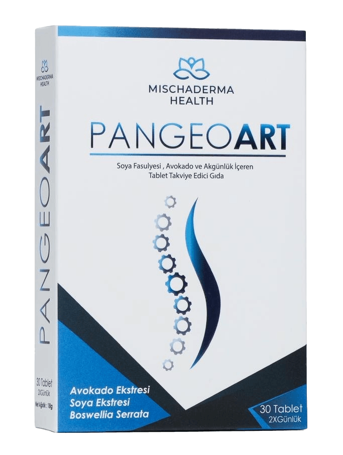 Pangeoart 30