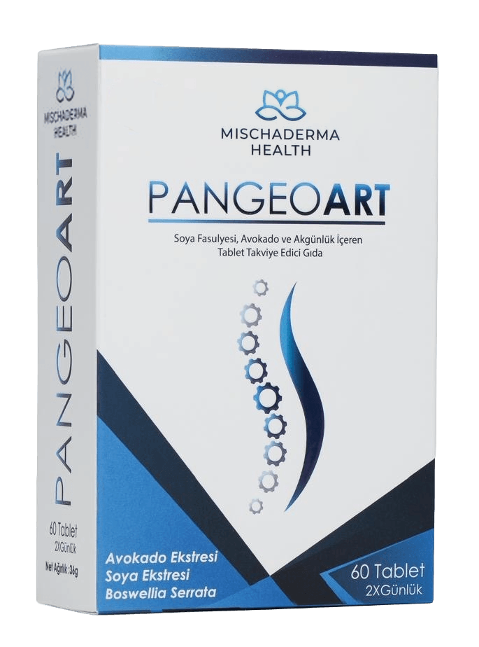 Pangeoart